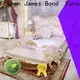 Nhà cung cấp giường đôi phong cách châu Âu màu bạc James Bond cho căn hộ 1