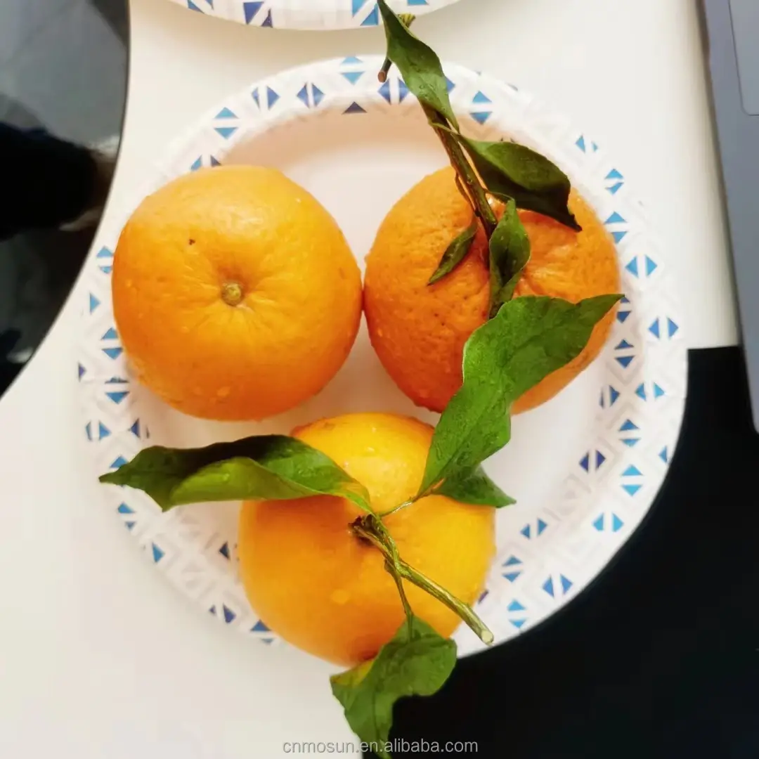 Top Selling Latest Paper Plate Making Machine Latest Paper Plate Making Machine Company 7