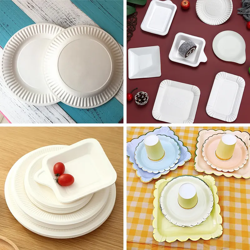 Top Sellingpaper Plate Making Machine Factory 7