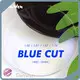 Professional Ophthalmic Lens Best Supplier 1