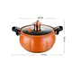 Pressure Cooker 8 Litre by CAIYI 2
