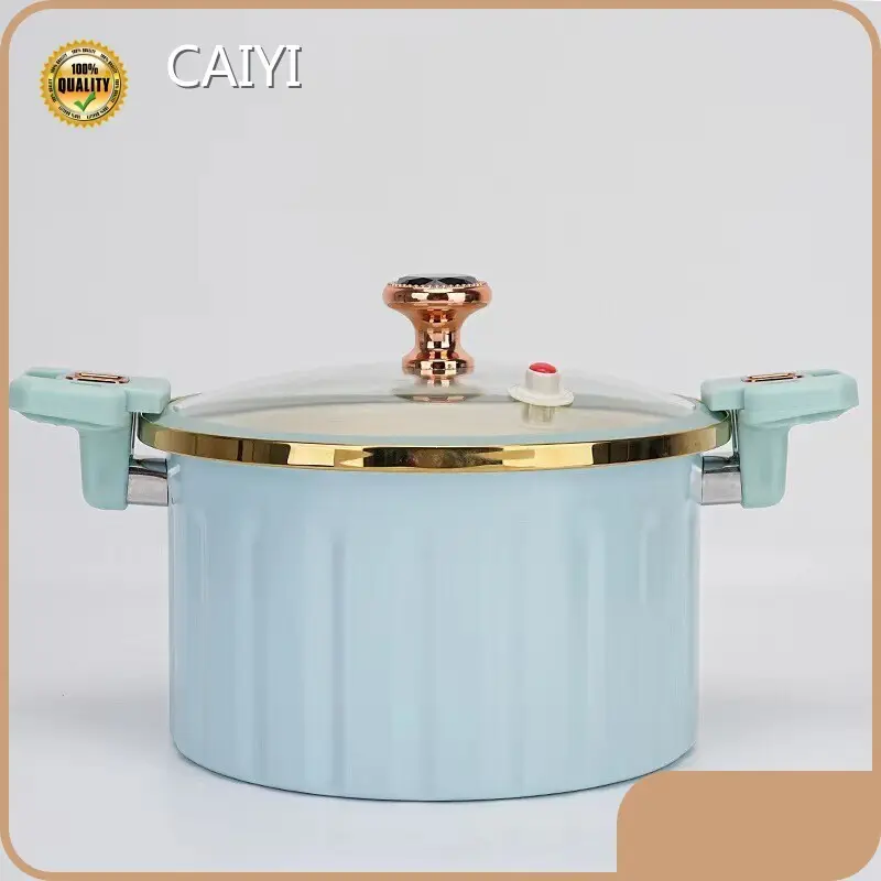 CAIYI Cast Iron Pressure Cooker Price List 1