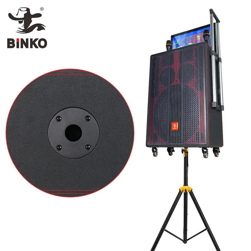 High-quality Karaoke Party Speaker Price List 6