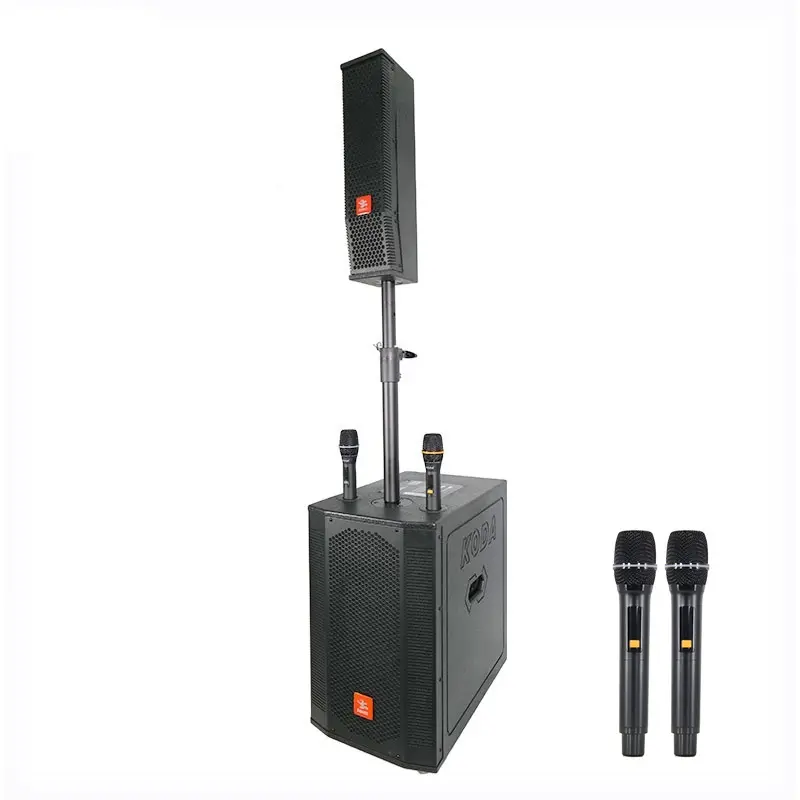 Professional Wireless Speaker Black Shell with Color Light - for Party - Binko 3