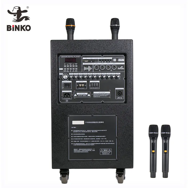 Professional Wireless Speaker Black Shell with Color Light - for Party - Binko 5