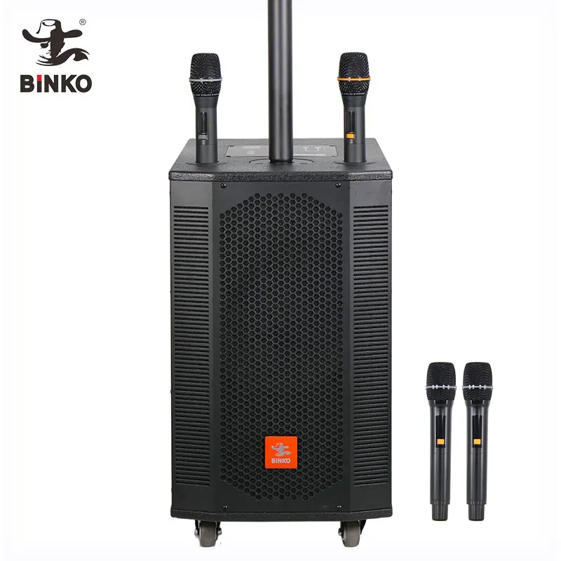 Professional Wireless Speaker Black Shell with Color Light - for Party - Binko 8