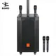 Professional Wireless Speaker Black Shell with Color Light - for Party - Binko 8