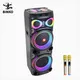 High-quality Modern Speaker for Indoor 2