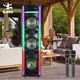New Wholesale Speakers Company for Ktv 4