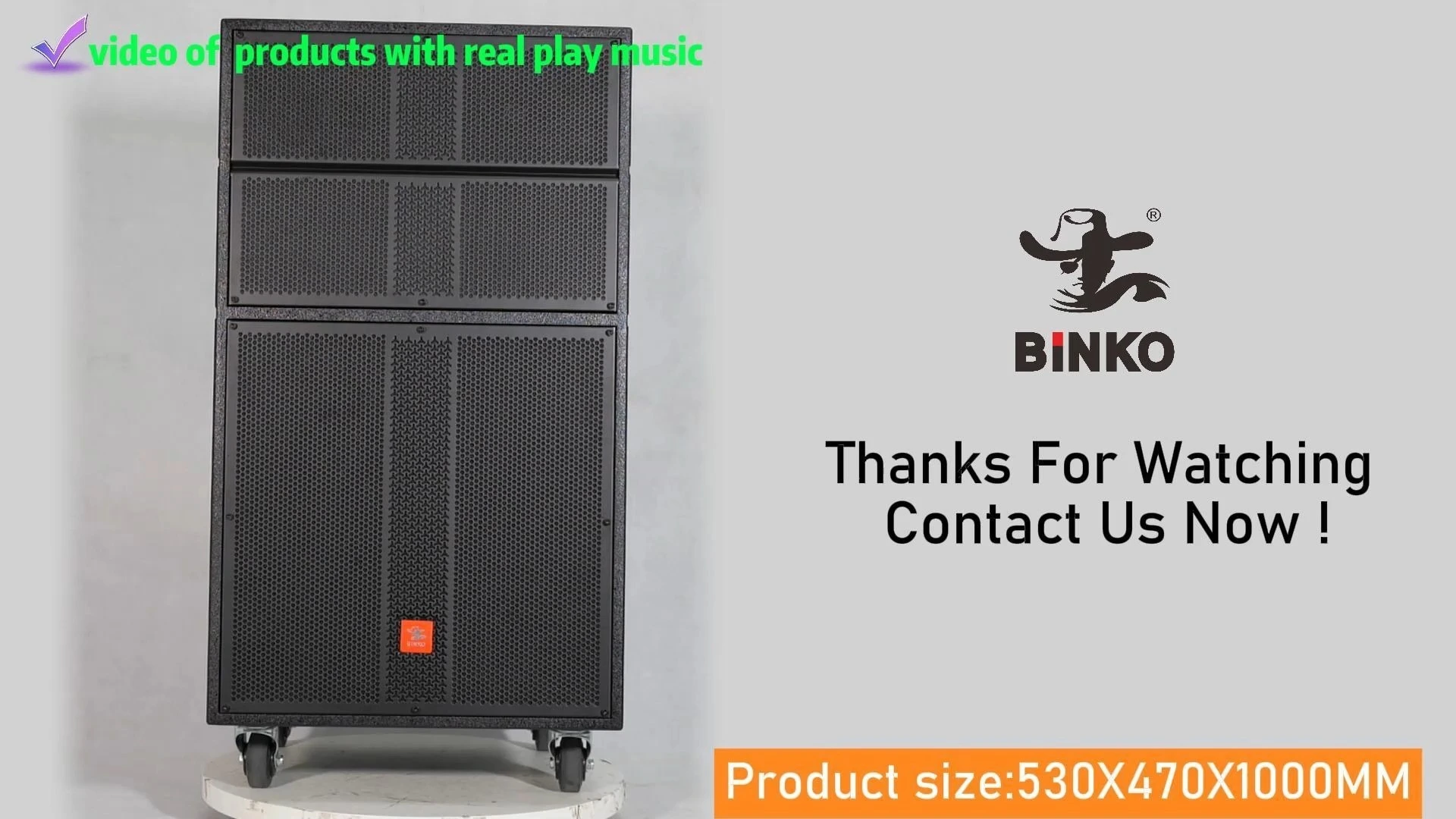 Professional Speaker Professional portable outdoor pro sound bass dj trolly speaker 18 inch woofer subwoofer 1000w system blue tooth speakers BiNKO BK-D618 1