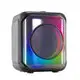 Custom Speaker YX-JF12 100supply 6