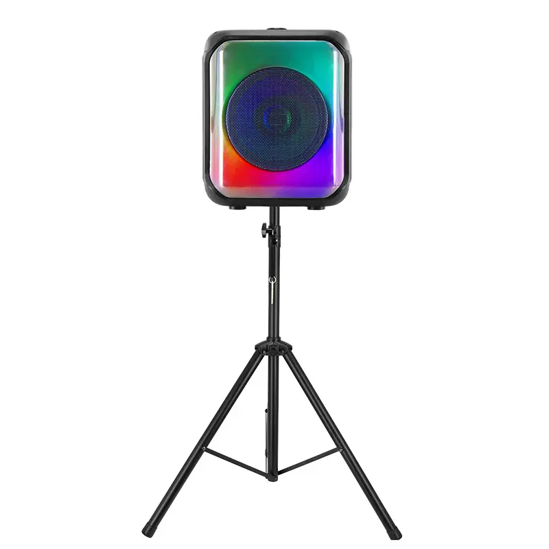 Custom Speaker YX-JF12 100supply 7
