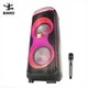 Binko Best Patio Speakers Metal+Plastic Best Patio Speakerscompany 3