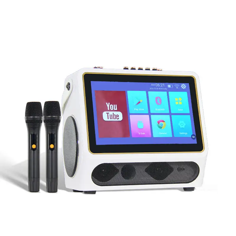 Custom Good Karaoke Speakers for Bar 5