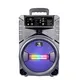China Bluetooth Speaker Supply for PartyCarton Box 2
