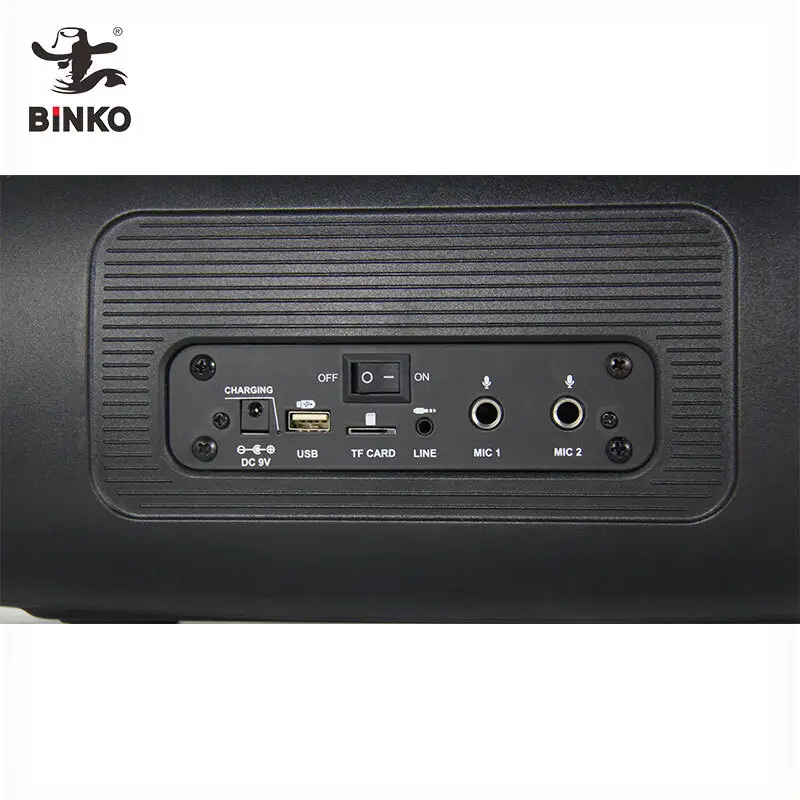 Binko Speaker Manufacturer Metal+Plasticcompany 4