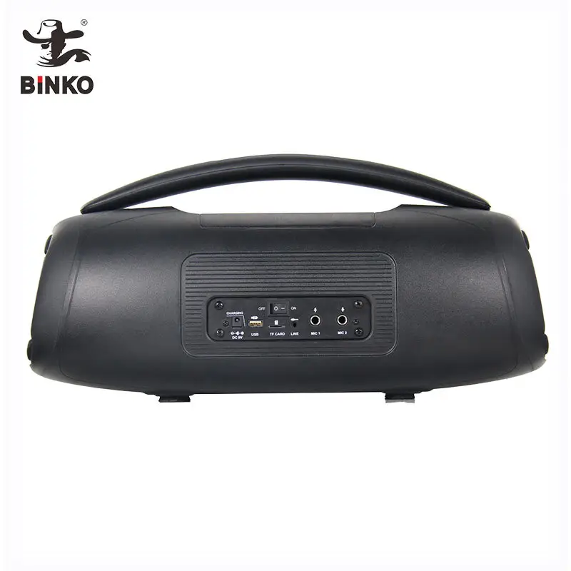 Binko Speaker Manufacturer Metal+Plasticcompany 5