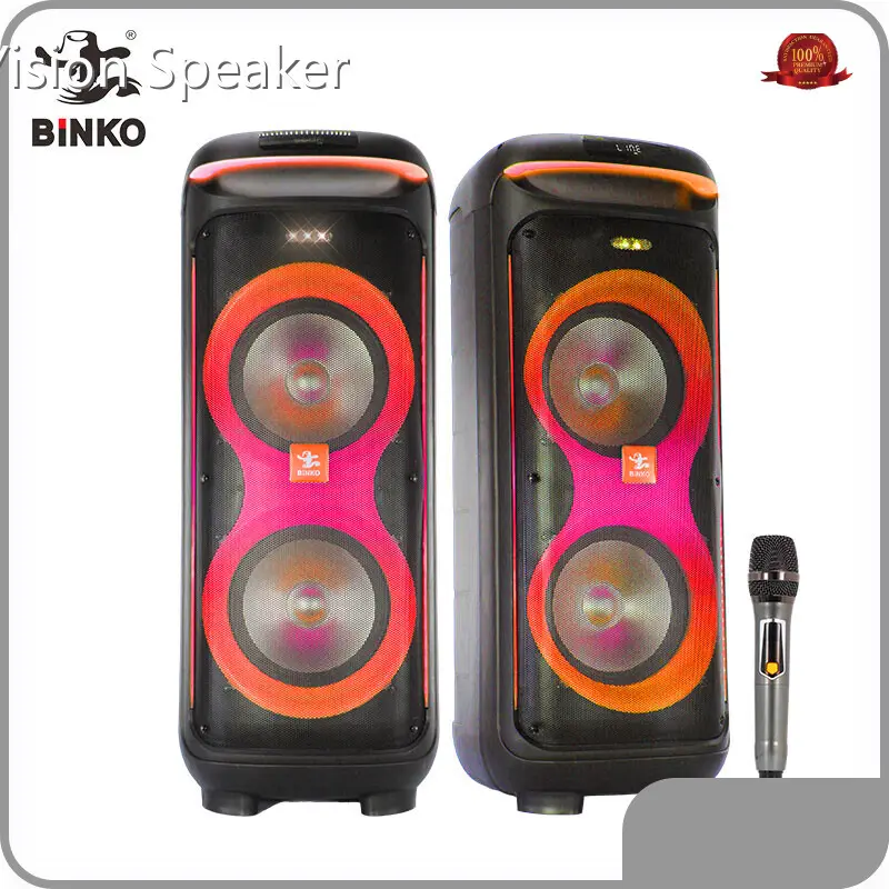 Modern Speaker 100 - for Outdoor - Binko 1