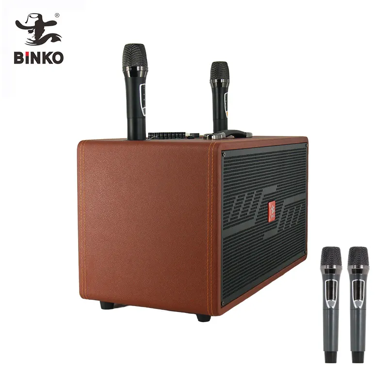 Oem Speaker Manufacturers Wooden Wholesale - Binko 6