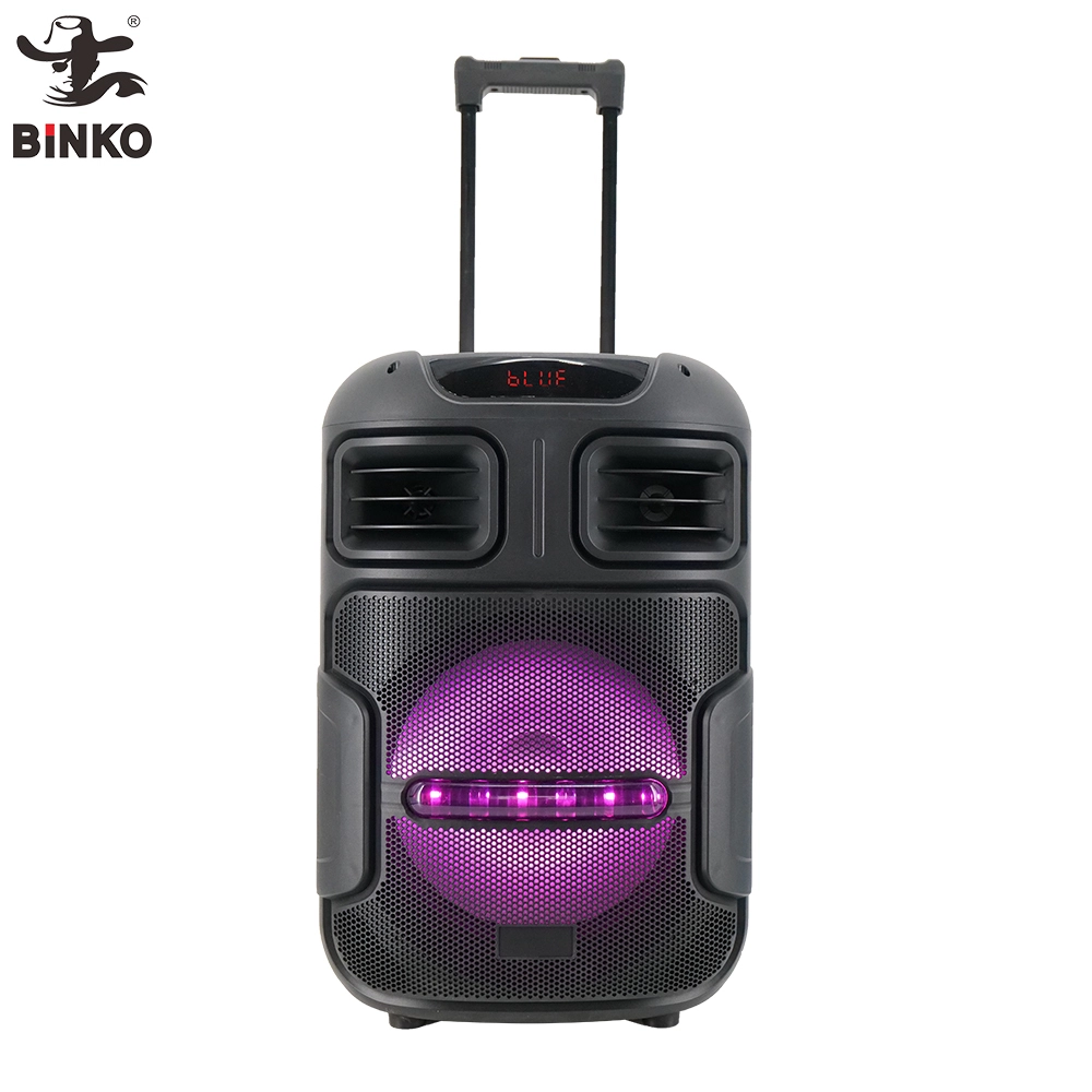 12 Inch Colorful LED RGB Light Wireless Bluetooth Trolley Speaker Mid Bass Karaoke Player For Home KTV Birthday Party Holiday BiNKO ZJZ-1203A 1