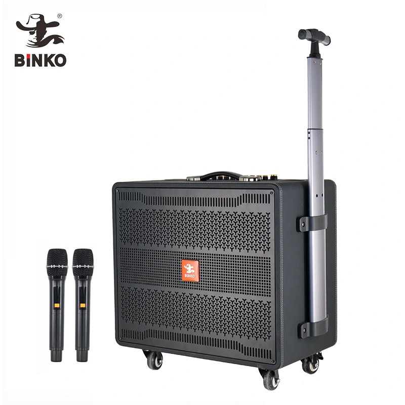 2000W Powerful Professional Active Speaker 12 Inch Subwoofer High Quality Bass Trolley Karaoke Speaker USB/TF/AUX/GT/HDMI/OPT/MIC Input BiNKO YX-128S 1