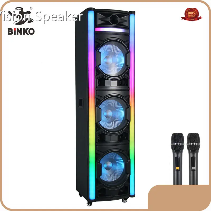 New Wholesale Speakers Company for Ktv 1