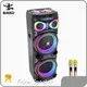 High-quality Modern Speaker for Indoor 1