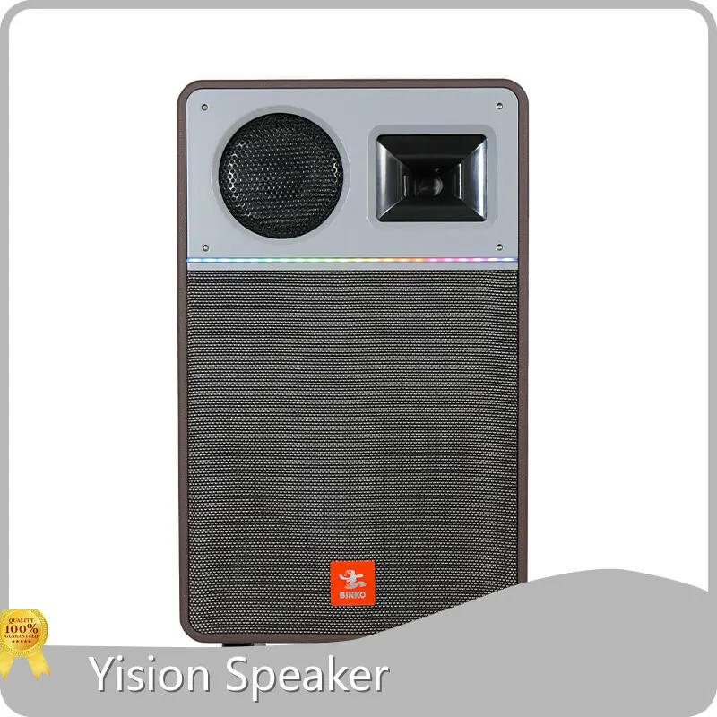 Binko Speaker Equipment Metal+Plasticmanufacturers 1