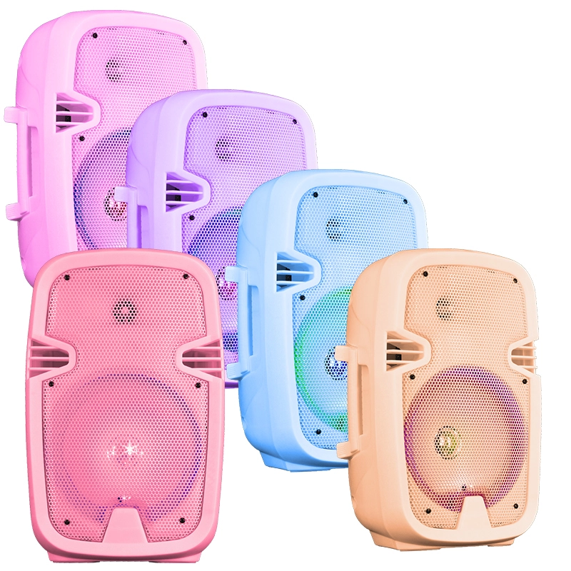 8'' Portable Wireless Bluetooth Speaker LED FM Mode Radio Subwoofer Small Outdoor Support FM Radio DC/AC Power Source AUX Plastic Multi-color BiNKO BK-T803A 1