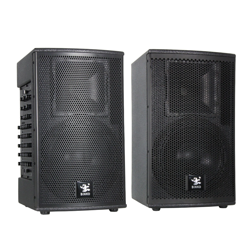 1000W 10 Inch High Power Professional Guitar Speaker Rechargeable Audio Home Theatre Karaoke Wood Material For Stage Performance BiNKO BK-T10 1