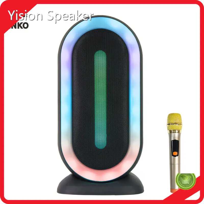 Wholesale Speakers BINKO 100factory 1