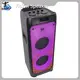 Binko Speaker Equipment Black Shell with Color Lightsuppliers 1