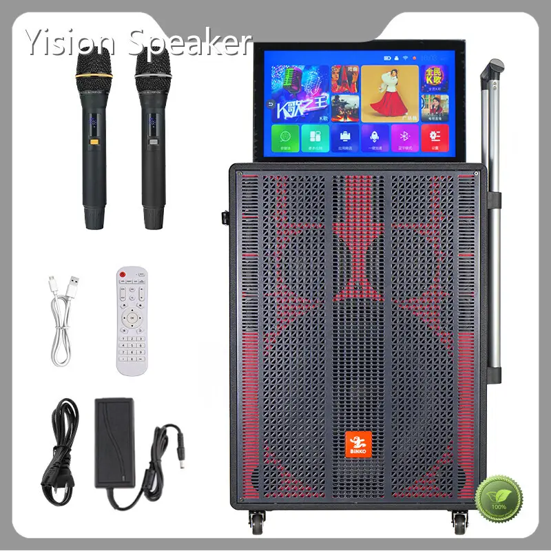 Bluetooth Karaoke Microphone and Speaker BiNKO 520x260x665mmfactory 1