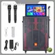 Bluetooth Karaoke Microphone and Speaker BiNKO 520x260x665mmfactory 1