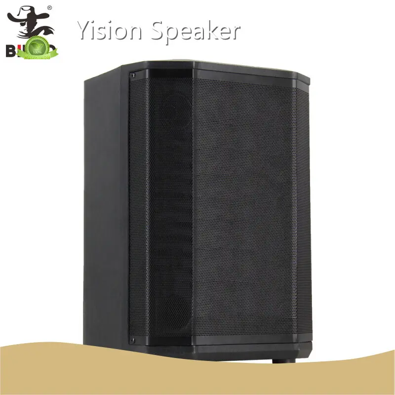 Custom Audio Speaker Suppliers Manufacturers for Outdoor 1
