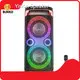 Best Wholesale Speakers Supply for School 1