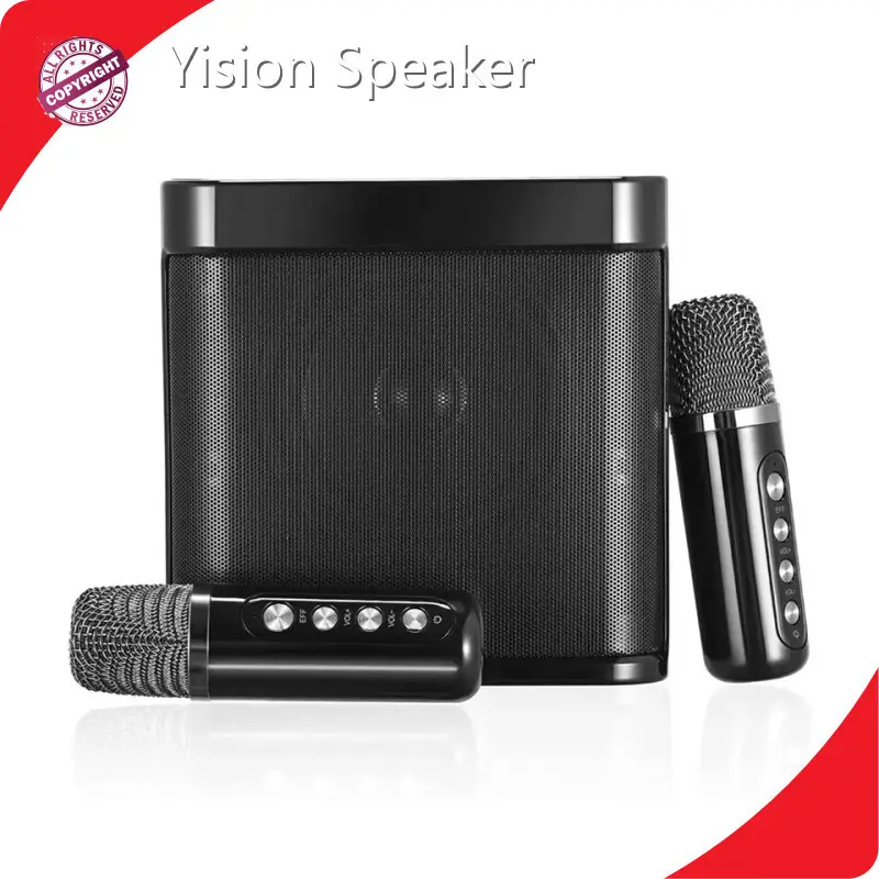 Speaker Manufacturer for Ktv Black Shell with Color Lightsupply 1