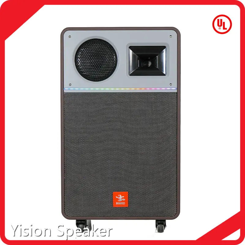 Top Oem Speaker Manufacturers Supply for Party 1