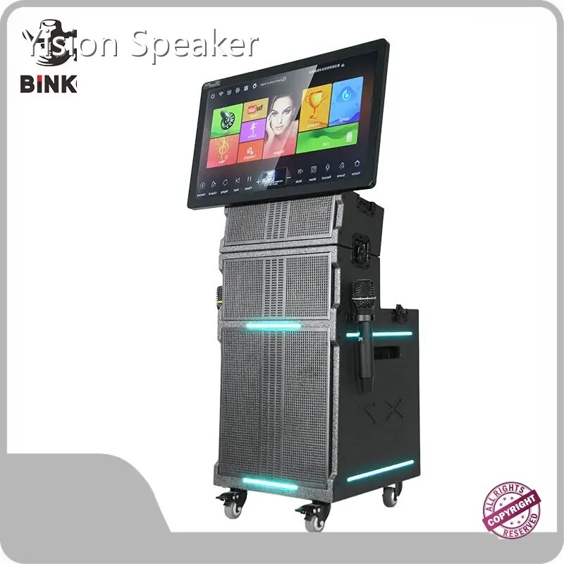 Custom Bluetooth Karaoke Microphone and Speaker for Entertainment 1