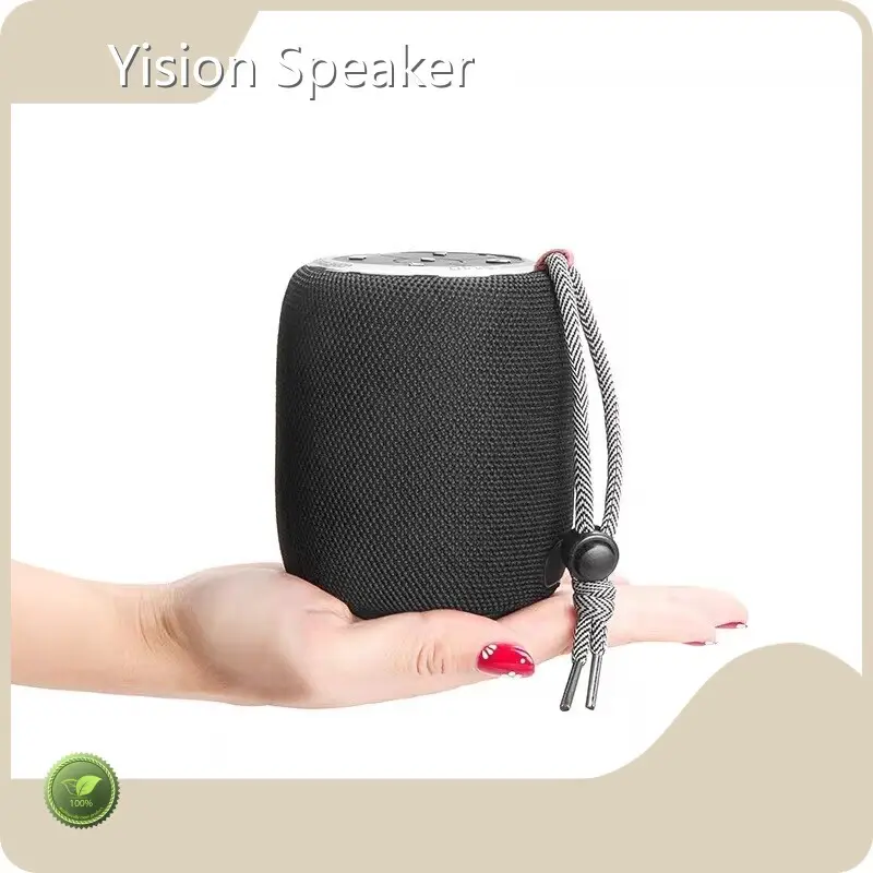 Binko Best Water Resistant Speakers BiNKOsupply 1