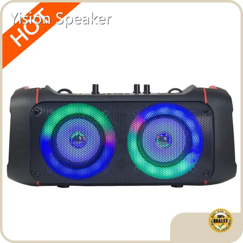 Top Modern Speaker for Ktv 1