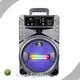 Customportable Speaker Supplier for Performance Plastic 230x190x360mm 1