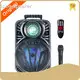 Wholesale Custom Speaker Supply for Ktv 1