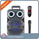 Oem Speaker Manufacturers for Entertainment BINKOsuppliers 1