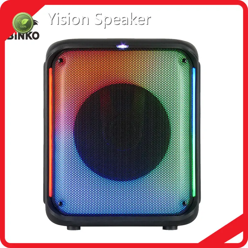Custom Speaker 100 - for Party - Binko-1 1