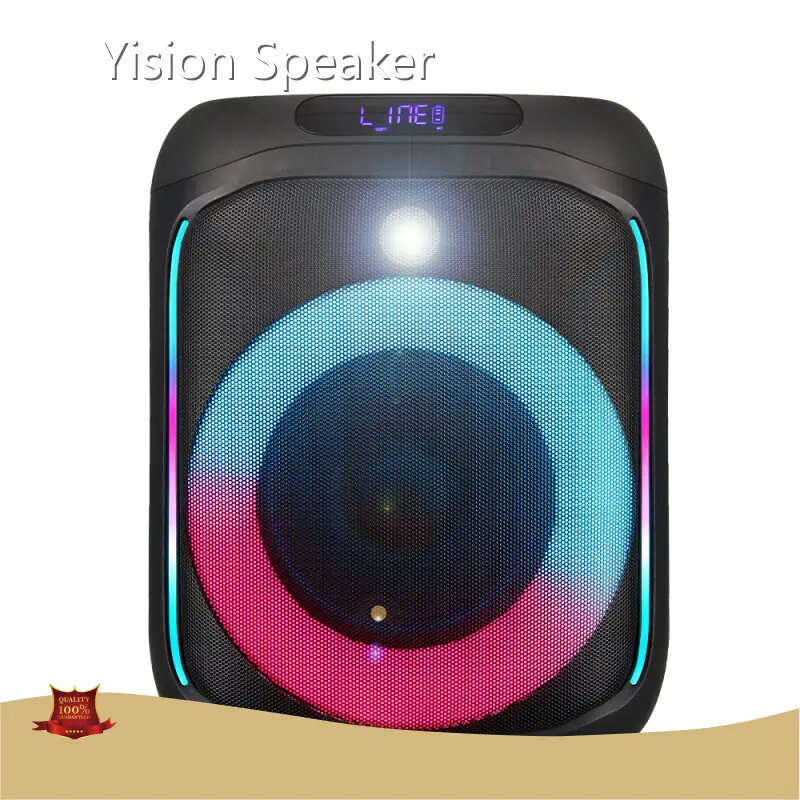 Speaker Factory ZJZ-2060 - for Outdoor - Binko 1
