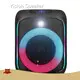 Speaker Factory ZJZ-2060 - for Outdoor - Binko 1