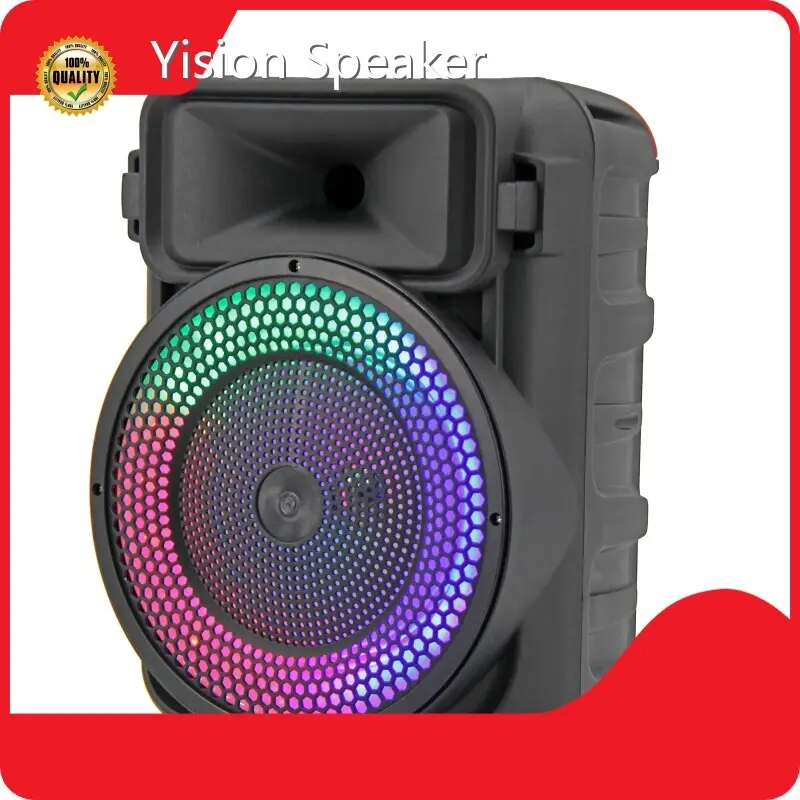Binko Custom Portable Speaker Company-1 1