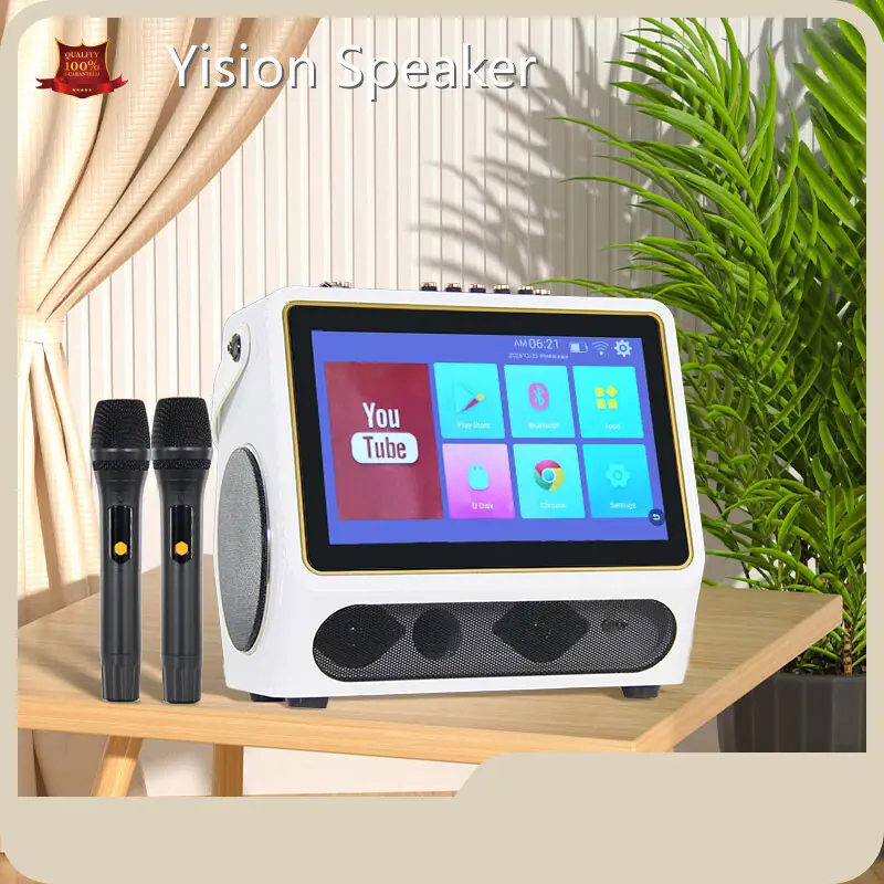 Custom Good Karaoke Speakers for Bar 1