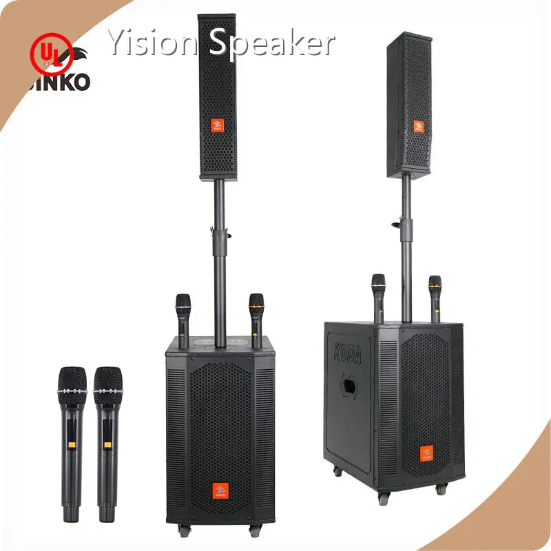 Binko Professional Wireless Speaker 100supply 1